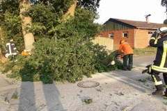 2019-08-27-Baum-Brackel-Bild-2