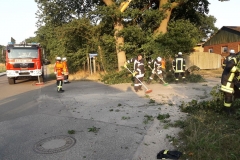 2019-08-27-Baum-Brackel-Bild-3